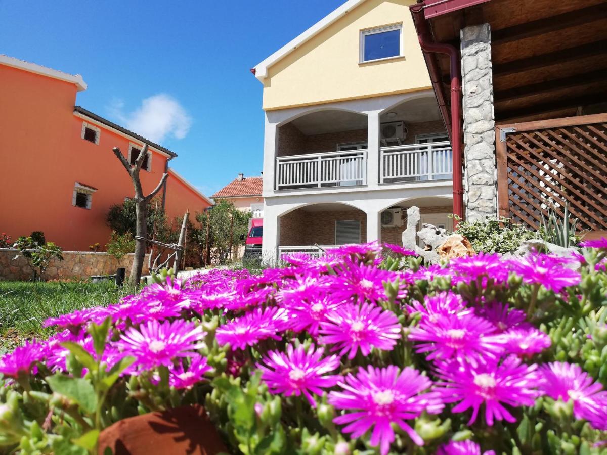 Apartmani Mala Sirena Maslenica Eksteriør bilde
