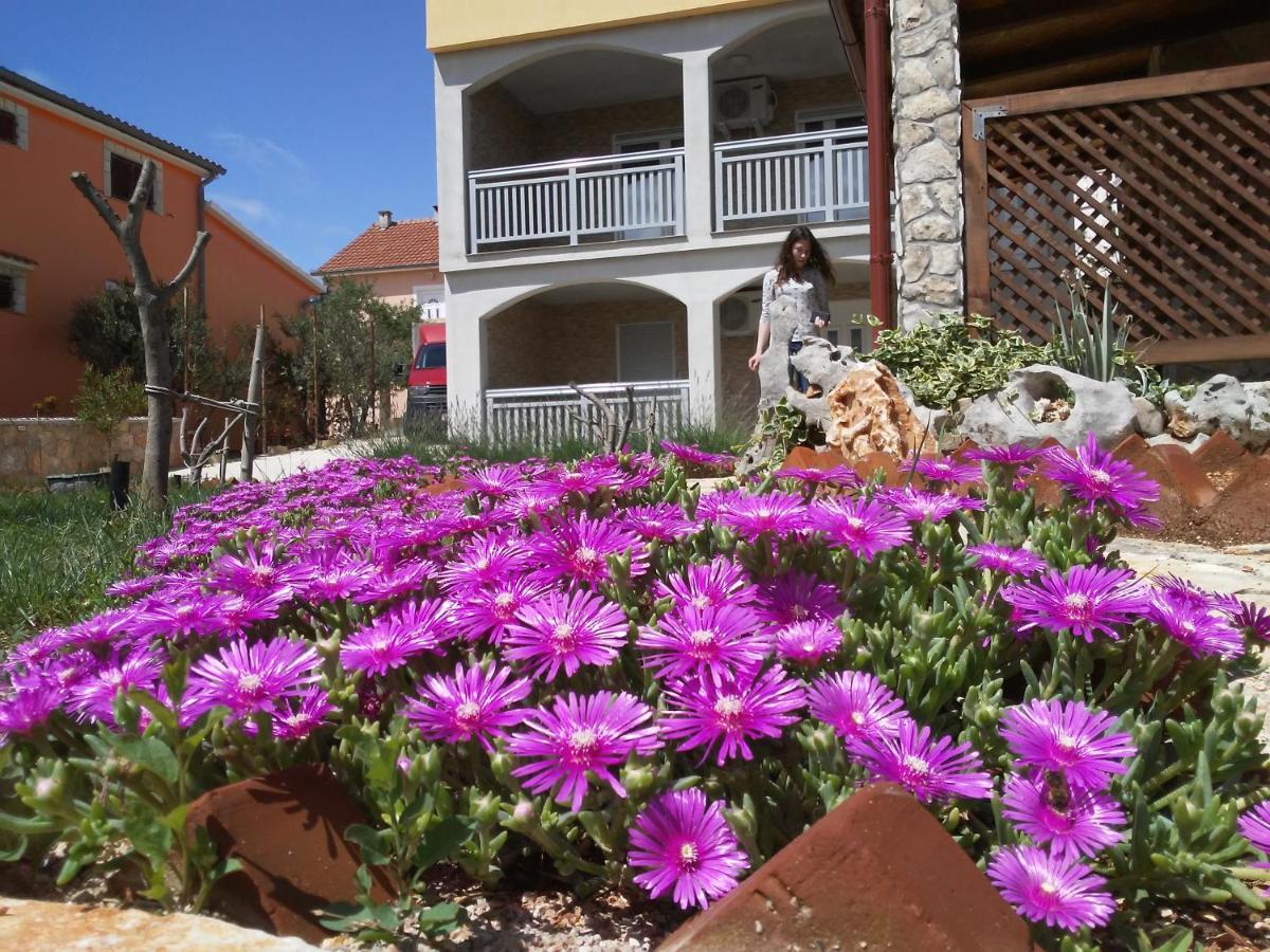 Apartmani Mala Sirena Maslenica Eksteriør bilde